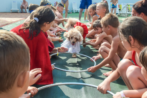 Цирк з песиками 24.07.2021